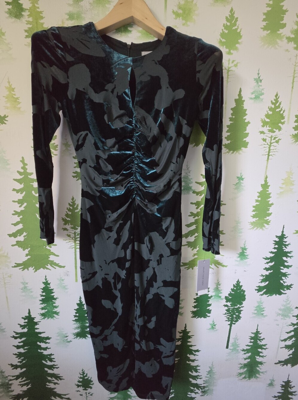 Velvet Ruched Long Sleeve Sheath Dress